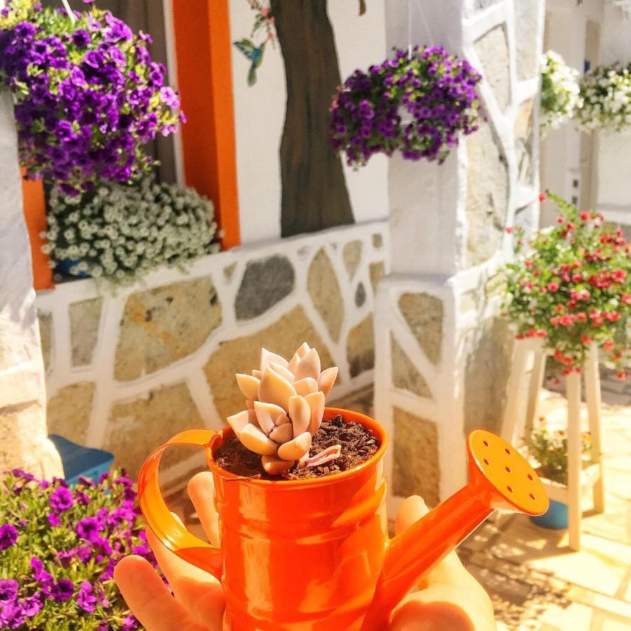 Bodrum Sade Pension Exteriér fotografie